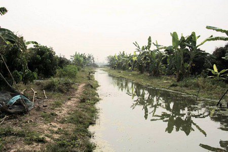 ขายที่ดินพร้อมทำการเกษตรแบบผสมผสาน-พร้อมบ้านไม้สัก-2หลัง-และโรงจอดรถ-จลำพูน