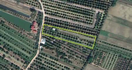 ขายที่ดินพร้อมทำการเกษตรแบบผสมผสาน-พร้อมบ้านไม้สัก-2หลัง-และโรงจอดรถ-จลำพูน