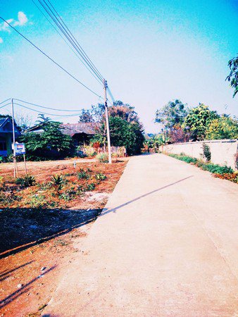 ขายที่ดิน-เหมาะสำหรับทำสิ่งปลูกสร้างที่อยู่อาศัย-ใกล้แหล่งชุมชน-จเชียงราย