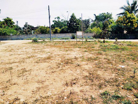 ขายที่ดิน-เหมาะสำหรับทำสิ่งปลูกสร้างที่อยู่อาศัย-ใกล้แหล่งชุมชน-จเชียงราย