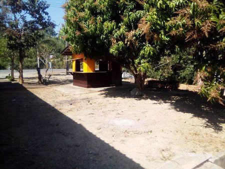 ขายม่อนเคียงดาวรีสอร์ทฯ-ศูนย์อาหาร-วิวดอยหลวงเชียงดาว