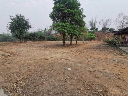 ขายม่อนเคียงดาวรีสอร์ทฯ-ศูนย์อาหาร-วิวดอยหลวงเชียงดาว