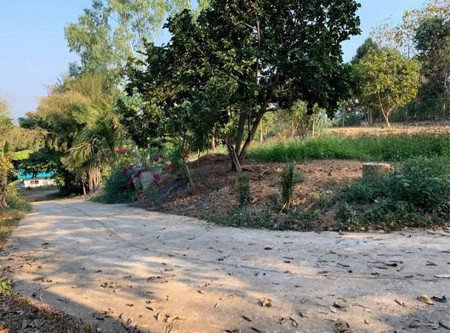 ขายที่ดิน-เหมาะสำหรับทำสิ่งปลูกสร้างที่อยู่อาศัย-ใกล้แหล่งชุมชน-จน่าน