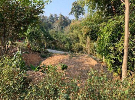 ขายที่ดิน-เหมาะสำหรับทำสิ่งปลูกสร้างที่อยู่อาศัย-ใกล้แหล่งชุมชน-จน่าน