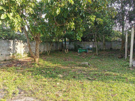 ขายที่ดินพร้อมสิ่งปลูกสร้าง-ตเวียง-อฝาง-จเชียงใหม่