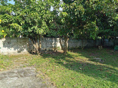 ขายที่ดินพร้อมสิ่งปลูกสร้าง-ตเวียง-อฝาง-จเชียงใหม่