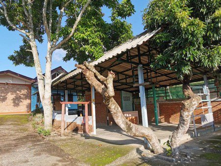 ขายที่ดินพร้อมสิ่งปลูกสร้าง-ตเวียง-อฝาง-จเชียงใหม่