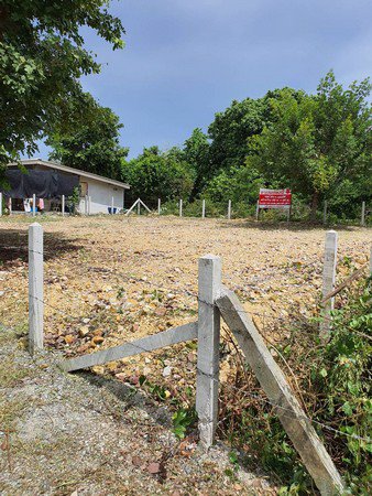 ขายด่วน-ที่ดินทำเลสวย-หาดสุชาดา-ตเนินพระ-จระยอง-ขนาด-100-ตารางวา