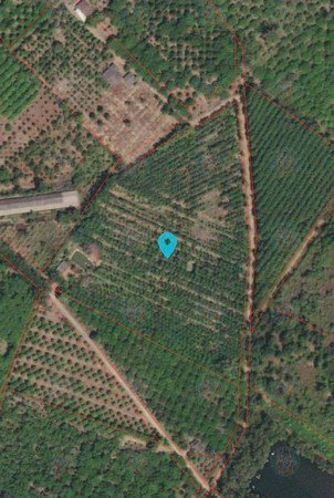 ขายที่ดินมีโฉนดเหมาะกับการทำสวนทุเรียน-20-ไร่-3-งาน-76-ตรวา-จจันทบุรี