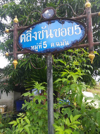 ขายที่ดินมีโฉนดเหมาะกับการทำสวนทุเรียน-20-ไร่-3-งาน-76-ตรวา-จจันทบุรี