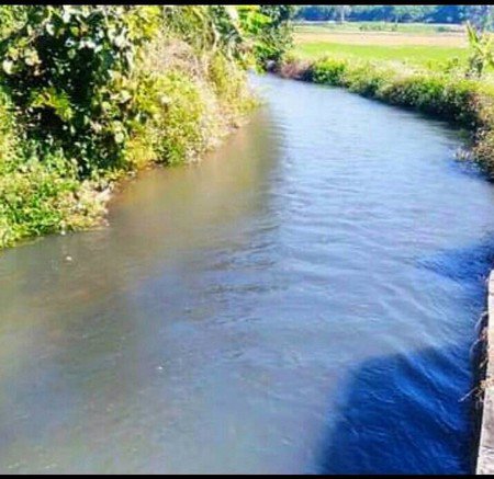 สวนลำไยแบ่งขายสวนลำไยแบ่งขายมีแปลงเล็กใหญ่โฉนด-6-ใบ-วิวดอยอินทนนท์