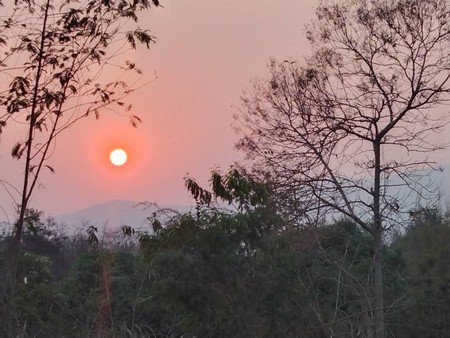 สวนลำไยแบ่งขายสวนลำไยแบ่งขายมีแปลงเล็กใหญ่โฉนด-6-ใบ-วิวดอยอินทนนท์