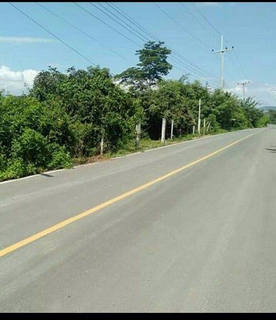 สวนลำไยแบ่งขายสวนลำไยแบ่งขายมีแปลงเล็กใหญ่โฉนด-6-ใบ-วิวดอยอินทนนท์