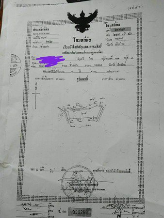 สวนลำไยแบ่งขายสวนลำไยแบ่งขายมีแปลงเล็กใหญ่โฉนด-6-ใบ-วิวดอยอินทนนท์