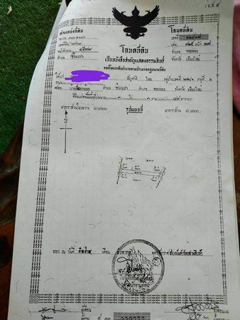 สวนลำไยแบ่งขายสวนลำไยแบ่งขายมีแปลงเล็กใหญ่โฉนด-6-ใบ-วิวดอยอินทนนท์