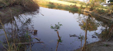 มีที่ดินแบ่งขายแปลงเล็ก-แปลงใหญ่-มีโฉนดทุกแปลง-อป่าซาง-จ-ลำพูน