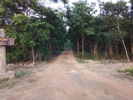 ขายที่ดินทำเลดีพร้อมบ้านไม้สไตล์รีสอร์ทน้ำไฟพร้อม-ที่ดินติดถนนทั้งสองด้าน