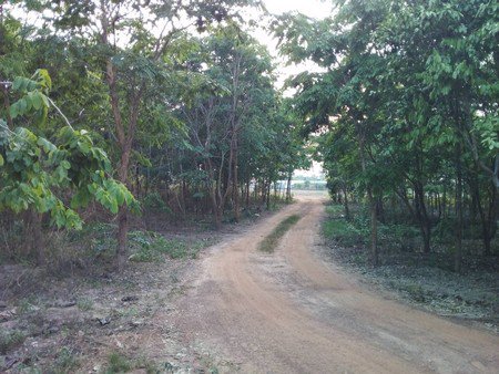 ขายที่ดินทำเลดีพร้อมบ้านไม้สไตล์รีสอร์ทน้ำไฟพร้อม-ที่ดินติดถนนทั้งสองด้าน