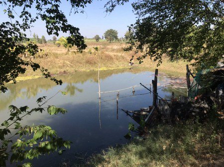 ขายที่ดินสำหรับทำการเกษตรจำนวน-9-ไร่-อ-บ้านแฮด-จขอนแก่น