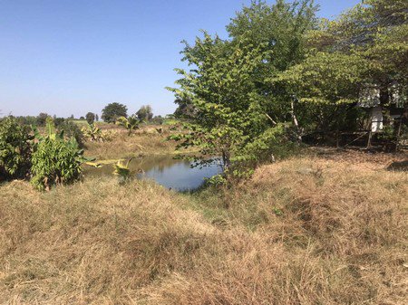 ขายที่ดินสำหรับทำการเกษตรจำนวน-9-ไร่-อ-บ้านแฮด-จขอนแก่น