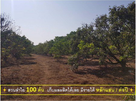 ขายที่ดินถูก-5ไร่-1งาน-20ตรว-พร้อมบ้านและสวนลำไยเก็บผลผลิต-มีรายได้ทันที