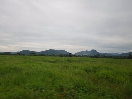 ขายที่ดินถูก-5ไร่-1งาน-20ตรว-พร้อมบ้านและสวนลำไยเก็บผลผลิต-มีรายได้ทันที