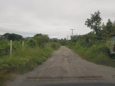 ขายที่ดินถูก-5ไร่-1งาน-20ตรว-พร้อมบ้านและสวนลำไยเก็บผลผลิต-มีรายได้ทันที