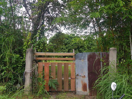 ขายที่ดินถูก-5ไร่-1งาน-20ตรว-พร้อมบ้านและสวนลำไยเก็บผลผลิต-มีรายได้ทันที