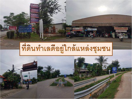 ขายที่ดินถูก-5ไร่-1งาน-20ตรว-พร้อมบ้านและสวนลำไยเก็บผลผลิต-มีรายได้ทันที