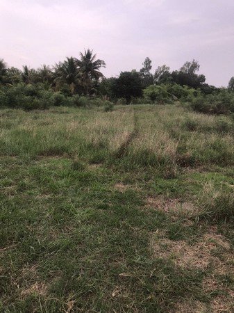 ขายที่ดินติดถนนเส้นหลักพื้นที่-8-ไร่-16-ตรวา-อบ้านฝาง-จขอนแก่น