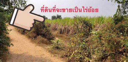 ขายที่ดินพื้นที่-14-ไร่-3-งาน-55-ตรวา-อเมือง-จพิจิตร