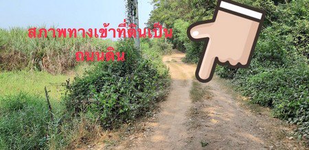 ขายที่ดินพื้นที่-14-ไร่-3-งาน-55-ตรวา-อเมือง-จพิจิตร