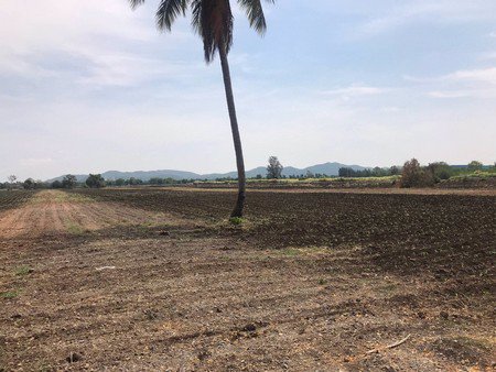 ขายที่ดินเปล่า-จังหวัดสระบุรี-เนื้อที่-23-ไร่-3-งาน-50-ตารางวา