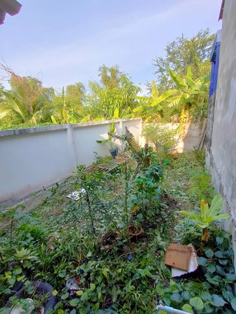 ขายทาวน์เฮ้าส์ชั้นเดียว-3-ห้องนอน-1-ห้องน้ำ-33-ตรว-พระสมุทรเจดีย์-สมุทรปราการ