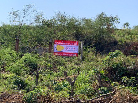 ขายที่ดินเขาใหญ่ทำเลสวยมาก-เป็นเนินเขา-วิวสวย-ติดถนน-ใกล้สถานที่ท่องเที่ยว