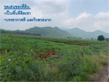 ขายที่ดิน-88-2-82-ไร่-พื้นที่สวยติดเขา-บรรยากาศดี-วิวสวยมาก-จนครราชสีมา