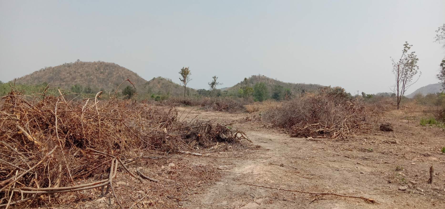 ขายที่ดินสวยราคาถูกจำนวน-6-ไร่-2-งาน-อจอมบึง-จราชบุรี