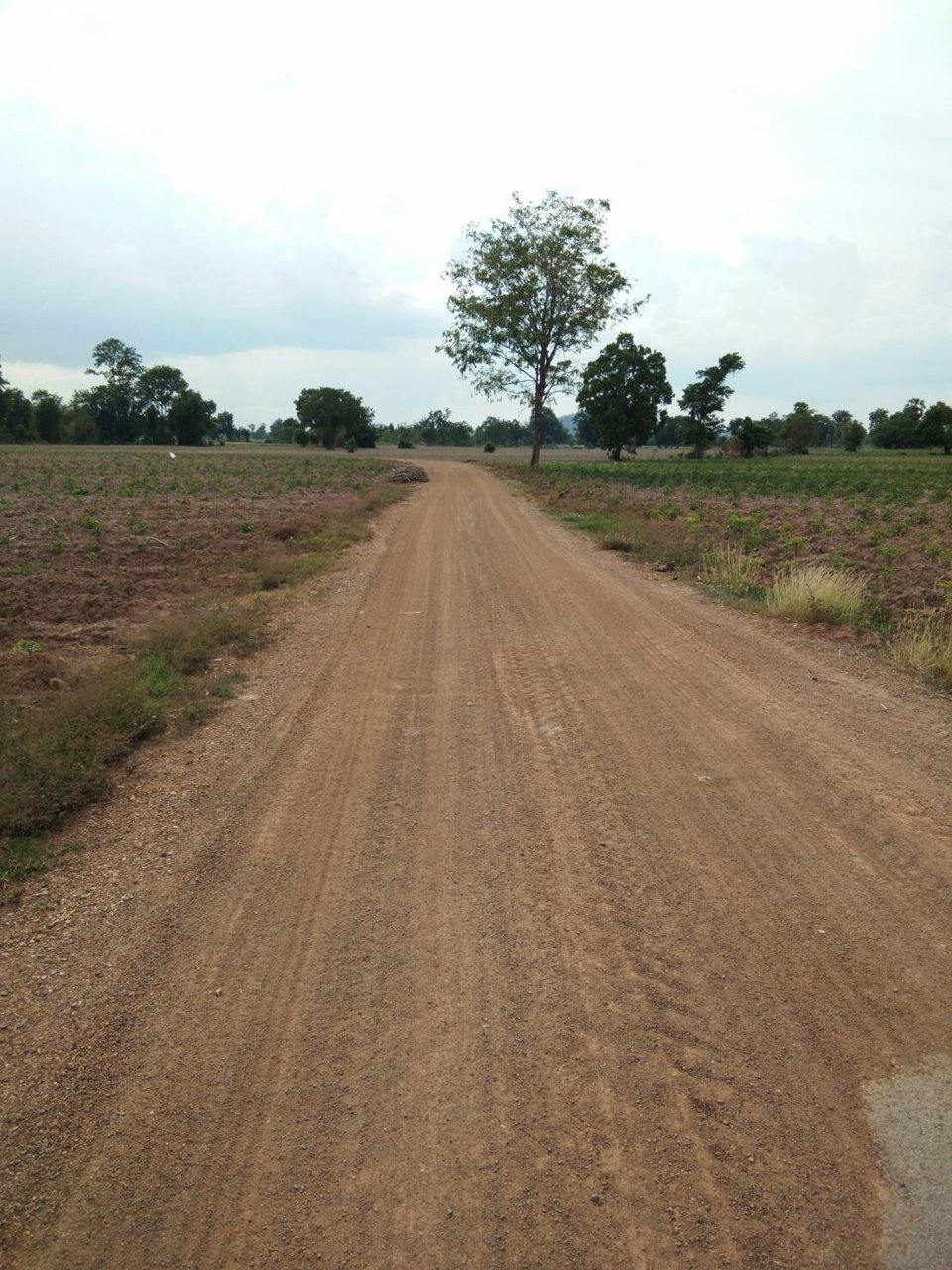 ขายด่วน-ที่ดินมีโฉนด-20-ไร่-ไร่ละ-90000-บาท-อหันคา-จชัยนาท