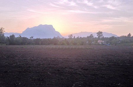 ขายที่ดินเชียงดาว-ราคาถูก-เนื้อที่-11-ไร่-เงียบสงบ-ร่มเย็น-มีธรรมชาติอันสวยงามมาก