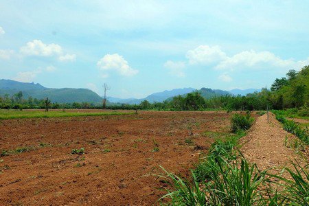 ขายที่ดินเชียงดาว-ราคาถูก-เนื้อที่-11-ไร่-เงียบสงบ-ร่มเย็น-มีธรรมชาติอันสวยงามมาก