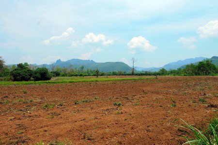 ขายที่ดินเชียงดาว-ราคาถูก-เนื้อที่-11-ไร่-เงียบสงบ-ร่มเย็น-มีธรรมชาติอันสวยงามมาก