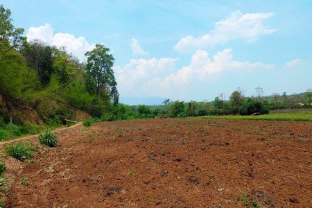 ขายที่ดินเชียงดาว-ราคาถูก-เนื้อที่-11-ไร่-เงียบสงบ-ร่มเย็น-มีธรรมชาติอันสวยงามมาก