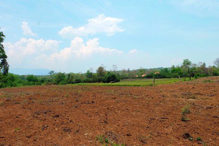 ขายที่ดินเชียงดาว-ราคาถูก-เนื้อที่-11-ไร่-เงียบสงบ-ร่มเย็น-มีธรรมชาติอันสวยงามมาก