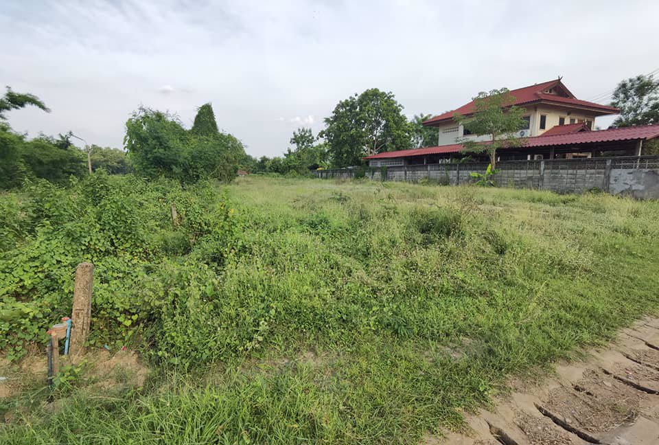 ขายที่ดินแปลง-จำนวน-1-ไร่-ถนนเส้นหลัง-ปั้ม-ปตทศรีสัชนาลัย