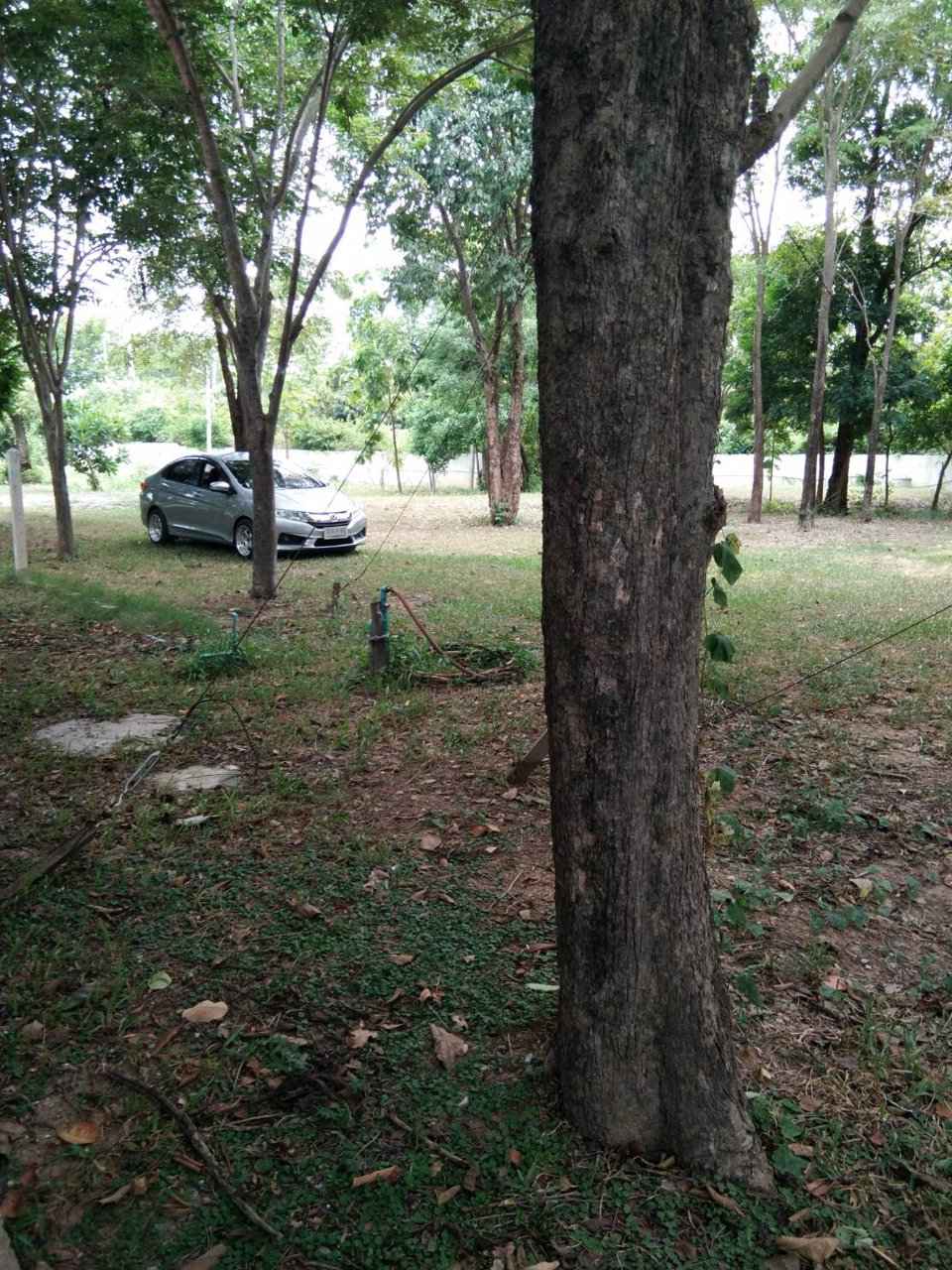 ขายด่วน-ที่ดินแปลสวย-ติดแม่น้ำท่าจีน-ตำบลปากน้ำ-จสุพรรณบุรี