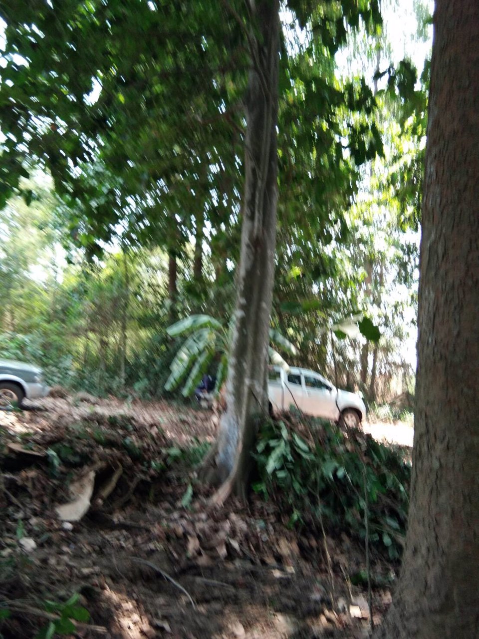 ขายด่วน-ที่ดินแปลสวย-ติดแม่น้ำท่าจีน-ตำบลปากน้ำ-จสุพรรณบุรี