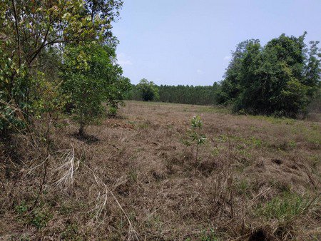 ขายที่ดิน-9ไร่-1งาน-19ตรว-ทำเลดีอยู่แหล่งชุมชน-และ-ท่องเที่ยว-จปราจีนบุรี