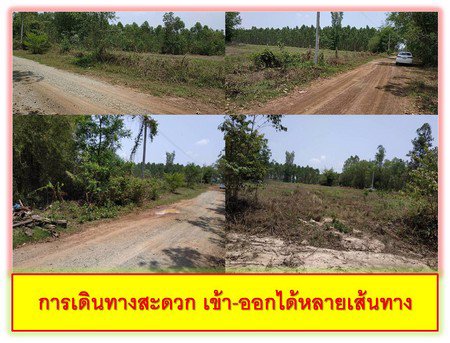 ขายที่ดิน-9ไร่-1งาน-19ตรว-ทำเลดีอยู่แหล่งชุมชน-และ-ท่องเที่ยว-จปราจีนบุรี