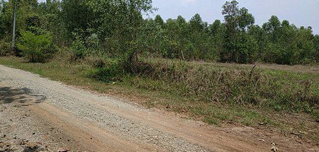 ขายที่ดิน-9ไร่-1งาน-19ตรว-ทำเลดีอยู่แหล่งชุมชน-และ-ท่องเที่ยว-จปราจีนบุรี