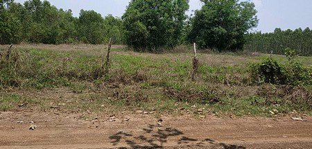 ขายที่ดิน-9ไร่-1งาน-19ตรว-ทำเลดีอยู่แหล่งชุมชน-และ-ท่องเที่ยว-จปราจีนบุรี